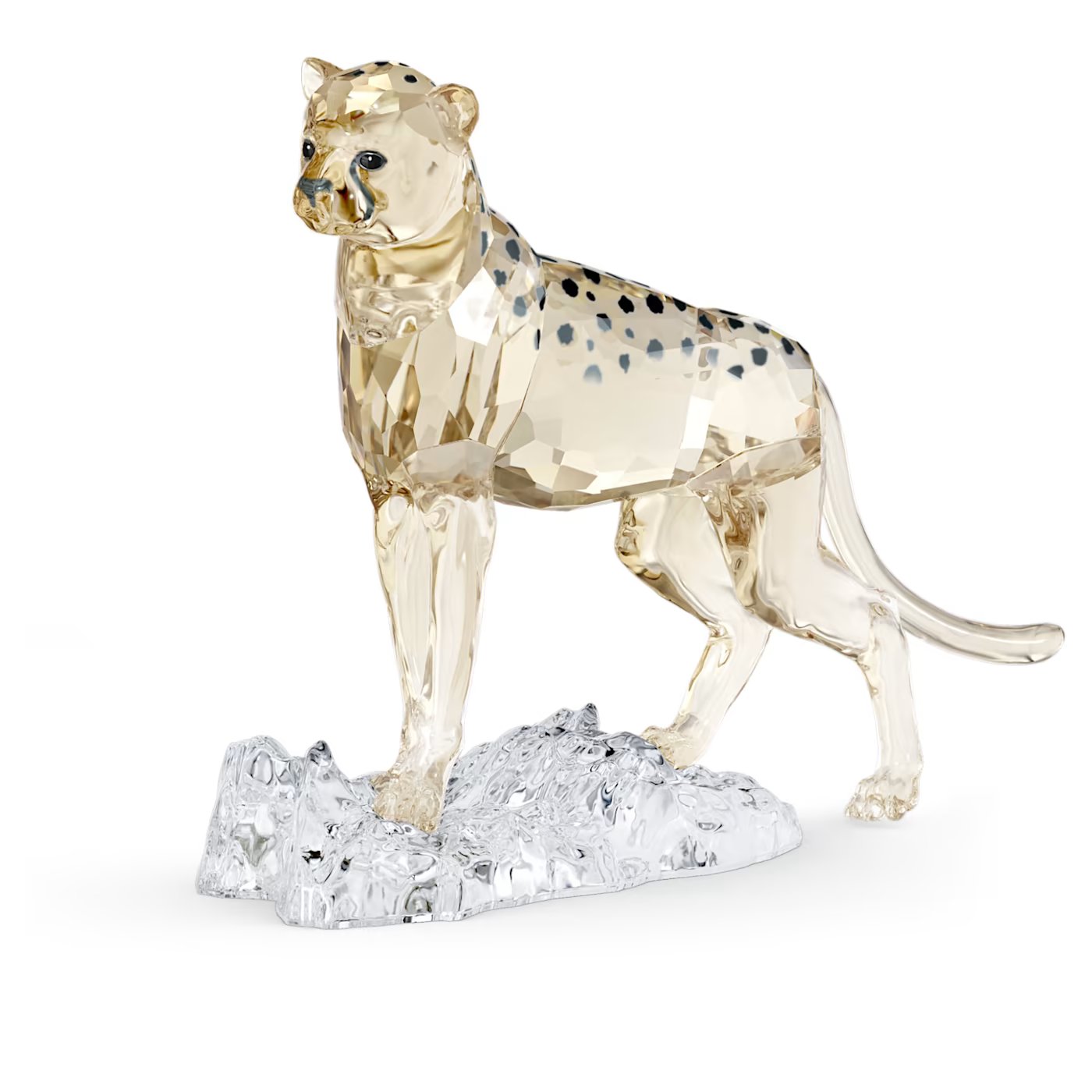 Elegance of Africa SCS Cheetah Baby Jabari