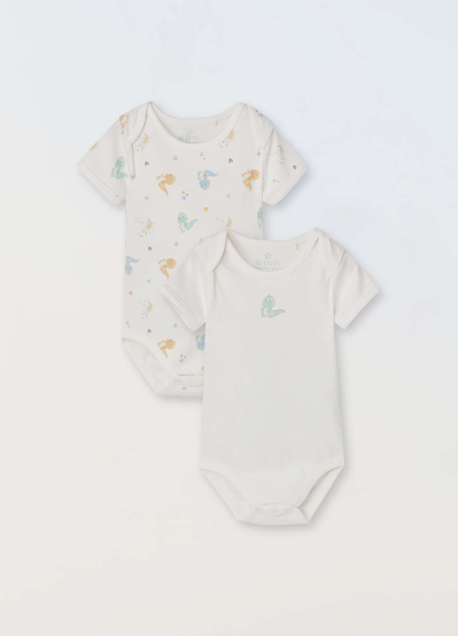 Pack of 2 pure cotton newborn bodysuits