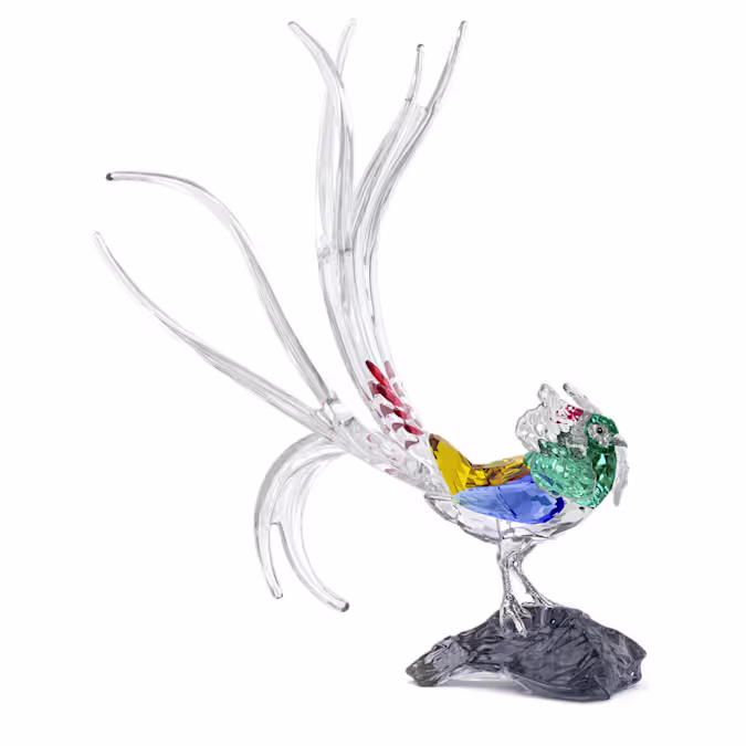 Idyllia SCS Annual Edition 2026 Lady Amherst’s Pheasant