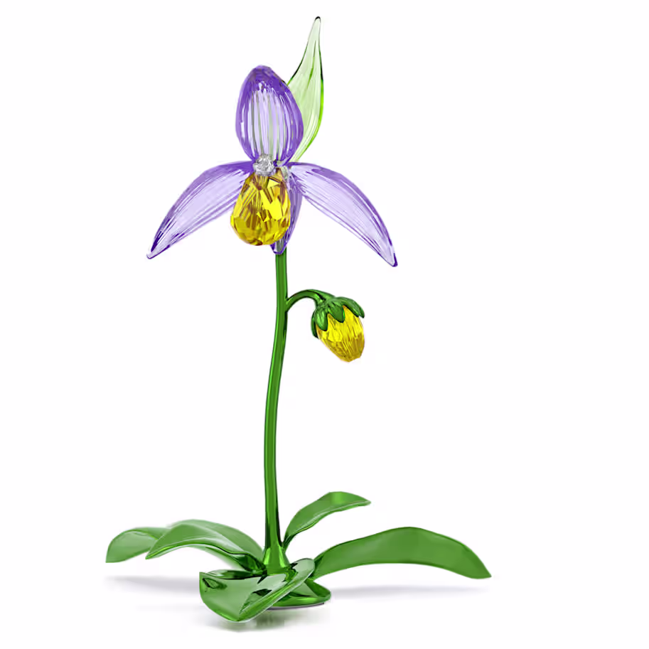 6a0f02cc9e2dc_florere-lady-slipper-orchid-swarovski-5721548.avif